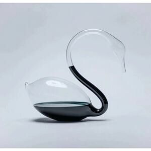 Blackswan Storm Glass Decorative Barometer